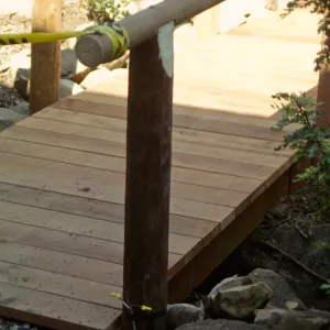 Path Paving