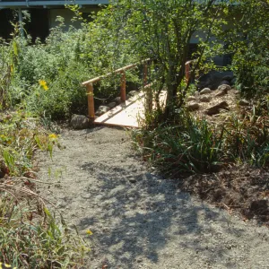 Path Paving