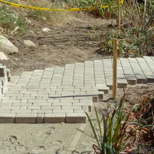 Path Paving
