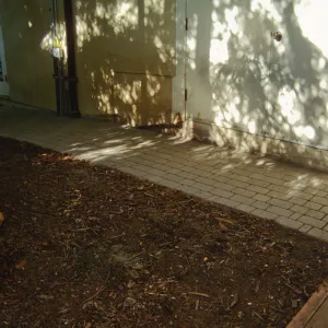 Path Paving