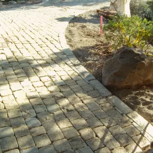 Path Paving
