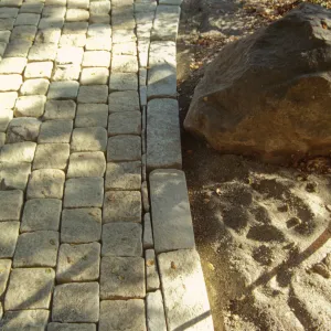 Path Paving