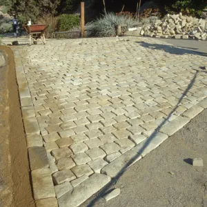 Path Paving