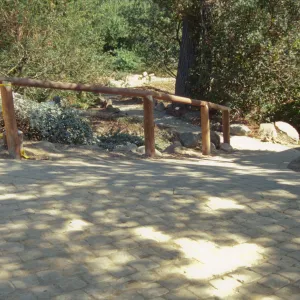 Path Paving