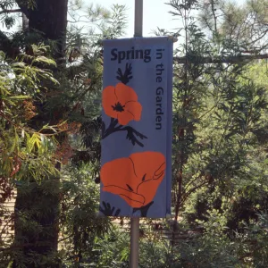 New Spring Banner