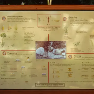 Plant Fiber Arts panel