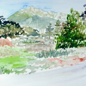 Watercolor of the Meadow