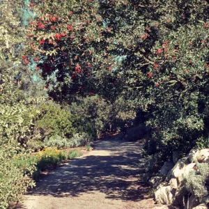 SBBG path