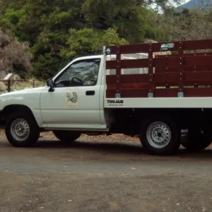 Dump Truck