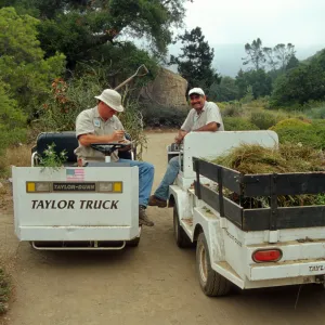 Two trucks