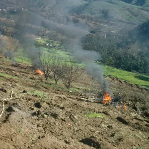 Clearing Burned Debris after Coyote Fire
