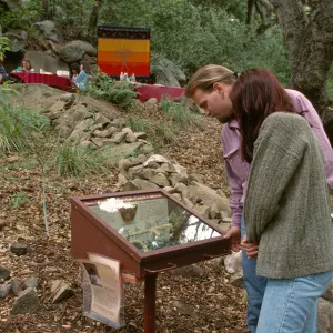Mission Waterworks & Fiber Arts Exhibit, 1997