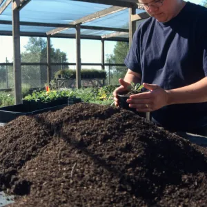 Andrew Wyatt, plant propagator, Horticulture Unit