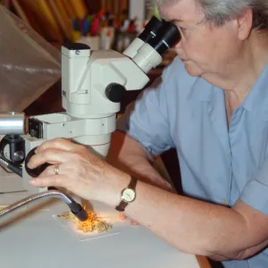 Shirley Tucker, lichenologist, microscope
