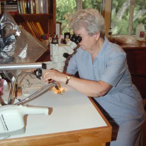 Shirley Tucker, lichenologist, microscope