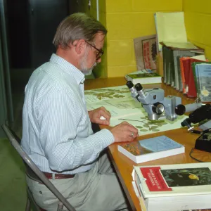 Dieter Wilken, analyzing Herbarium specimens