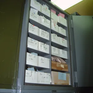 Herbarium specimen cabinets