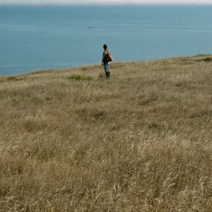 San Clemente Island