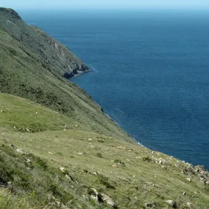 San Clemente Island