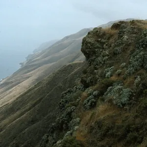 San Clemente Island