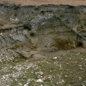 Santa Rosa Island