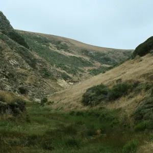 Santa Rosa Island