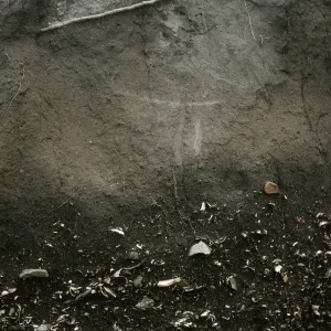 midden