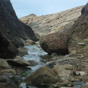 Sauces Canyon, Santa Cruz Island