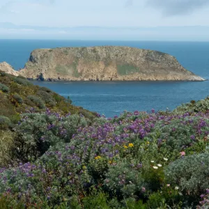Prince Island, San Miguel Island