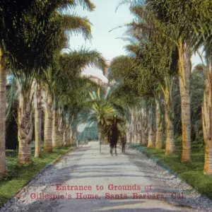 Entance to Grounds of El Fureides J.W. Gillespie Estate