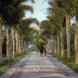 Entance to Grounds of El Fureides J.W. Gillespie Estate