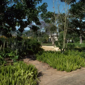 Alice Keck Park Memorial Garden