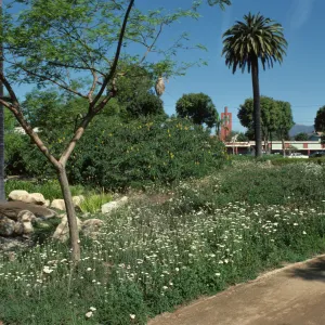 Alice Keck Park Memorial Garden
