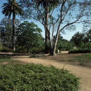 Alice Keck Park Memorial Garden