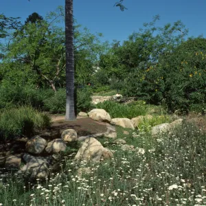 Alice Keck Park Memorial Garden