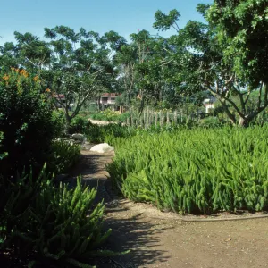Alice Keck Park Memorial Garden
