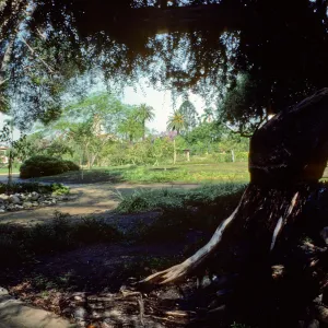 Alice Keck Park Memorial Garden