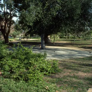Alice Keck Park Memorial Garden