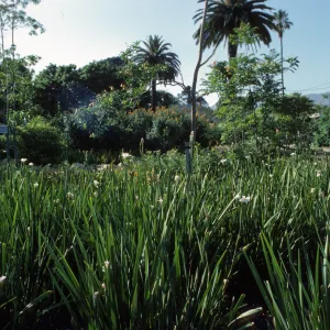 Alice Keck Park Memorial Garden