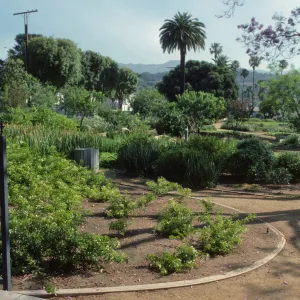 Alice Keck Park Memorial Garden