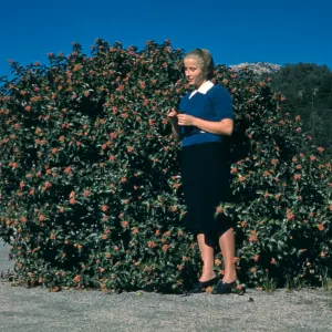 Patty Van Rensselaer in Front of Rhus Ovata