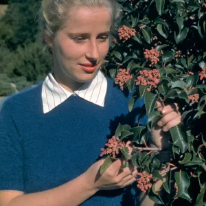 Patty Van Rensselaer with Rhus Ovata