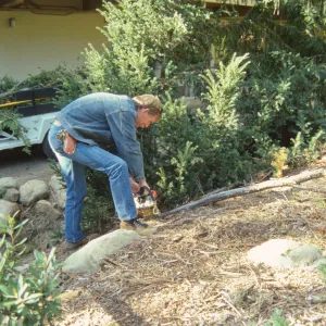 SBBG People: Gardener Jay Kendall at Work