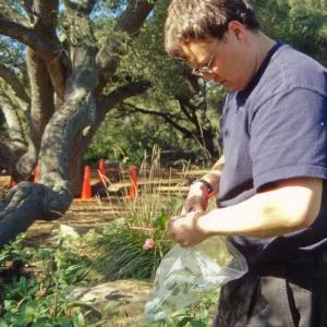 SBBG People: Andrew Wyatt at Work, plant propagation