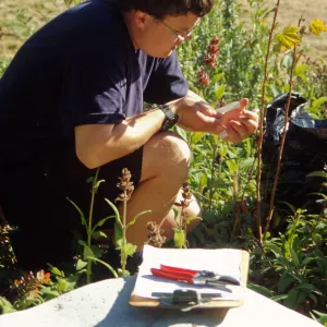 SBBG People: Andrew Wyatt at Work, plant propagation