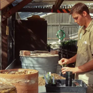 SBBG People: Horticulture Intern Jon 
