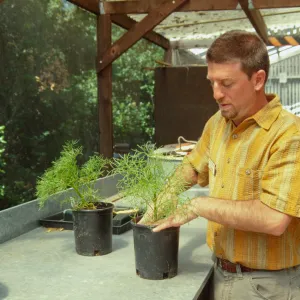 Matthew Barmann, SBBG Horticulture Intern