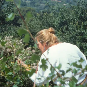 SBBG People - In the Field