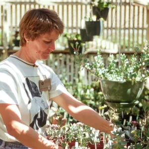 Nursery volunteer