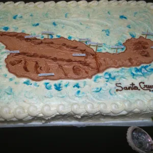 'Flora of Santa Cruz Island' book signing, the cake